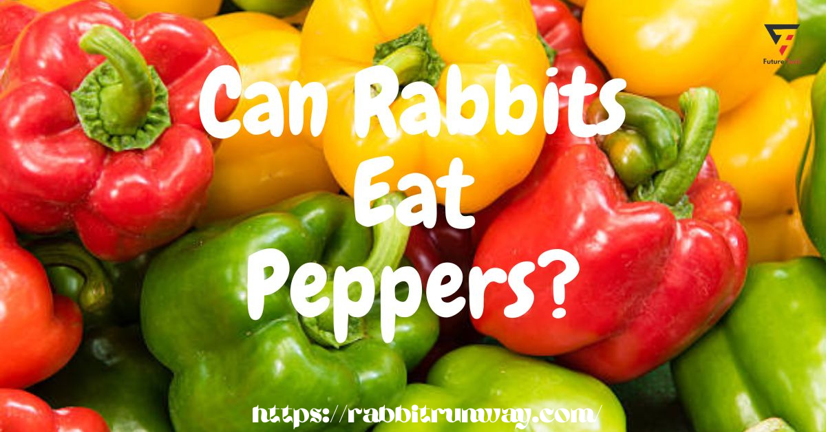 Your rabbit will like bell peppers as a beautiful and healthy treat. Just be sure to permanently remove the seeds.