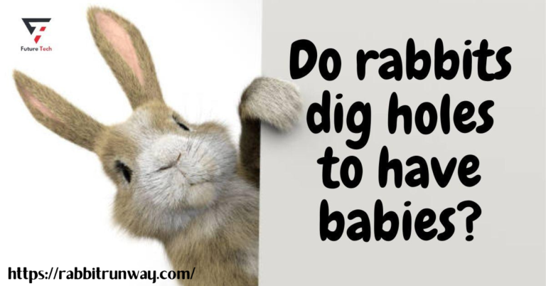 They claim that rabbits dig holes to have babies and use them as a warren. A warren is a collection of interconnecting holes rabbits use as a refuge and a place to raise their young.