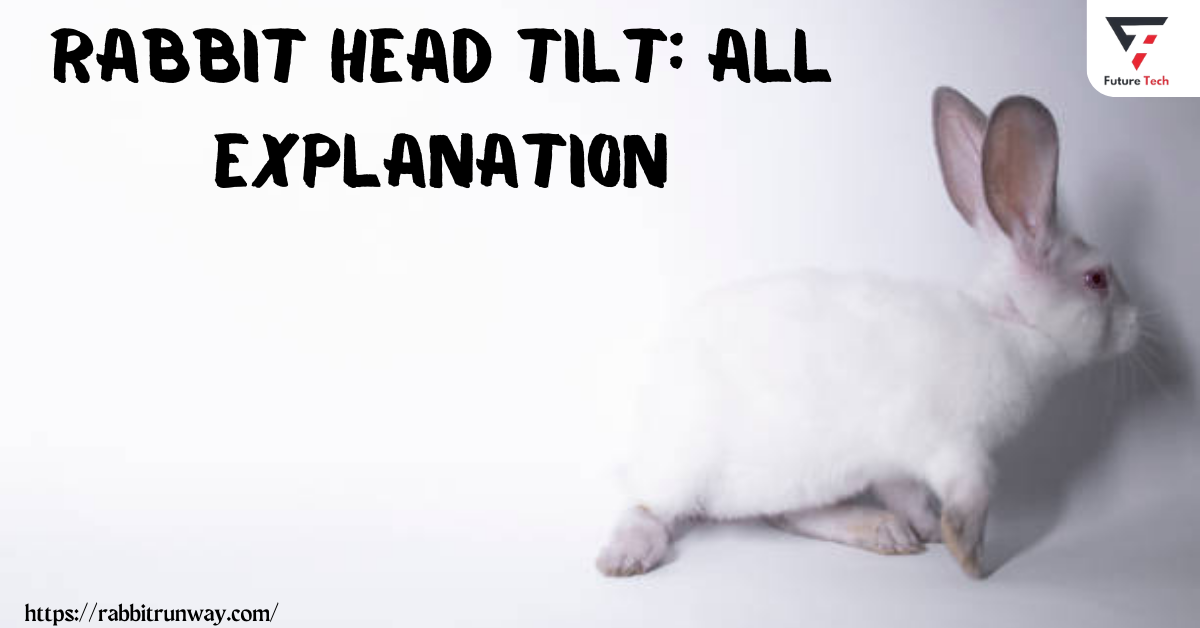 Torticollis, another name for rabbit head tilt, is condition in which a rabbit's head tilts to one side, making it difficult for the animal.